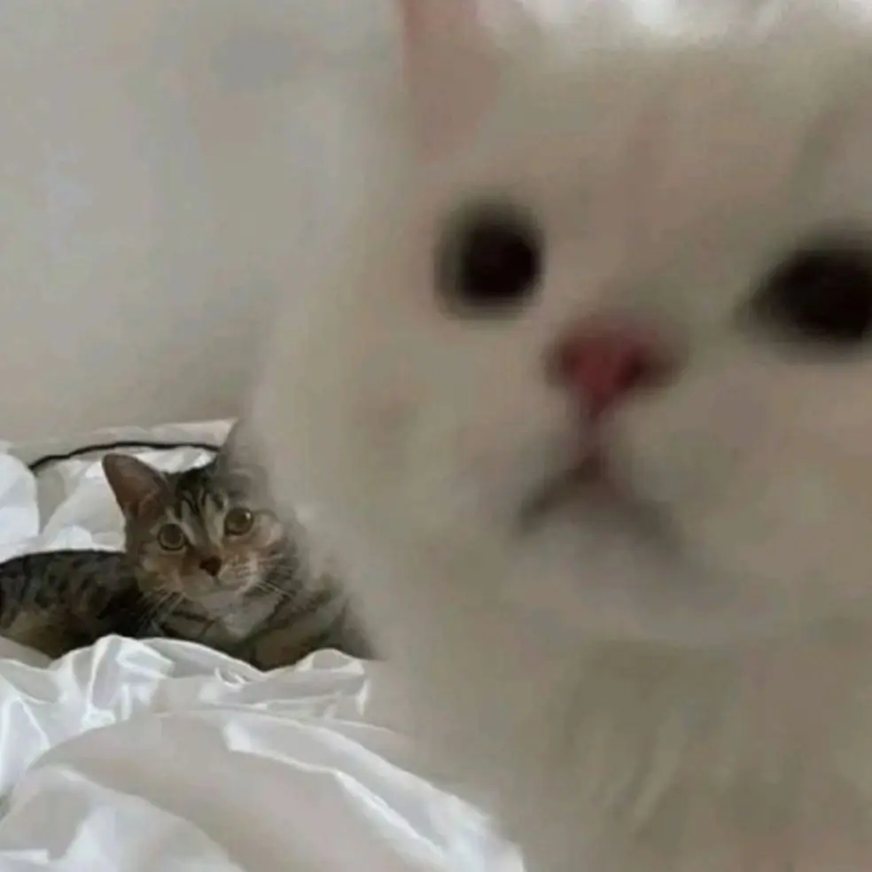 SicklyOlive9079의 데드파더스