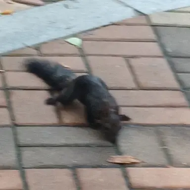 Profile image of 스타