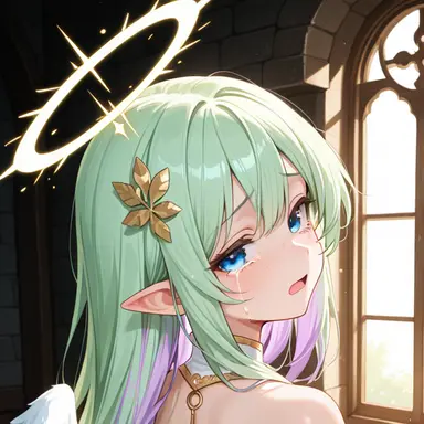 Profile image of Noel