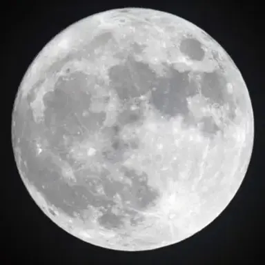 Profile image of 달