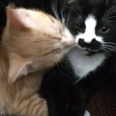 Profile image of 이도윤