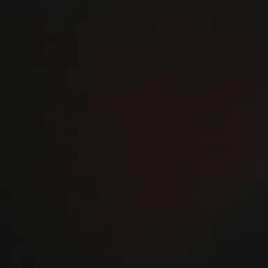 Profile image of Storm the hedgehog