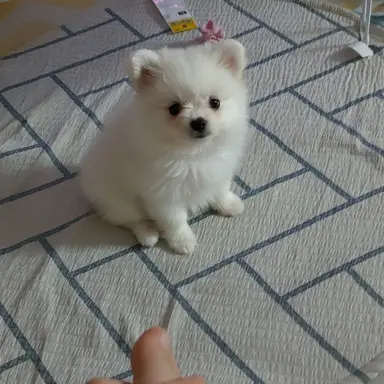 Profile image of 김하엘