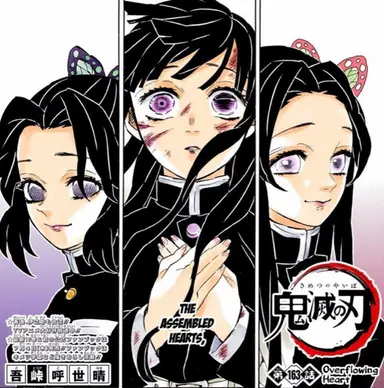 Profile image of 코쵸우 시노부