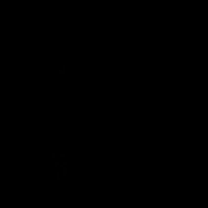 동생들