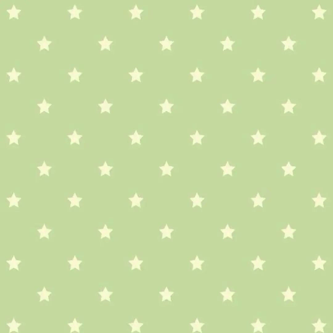 h.xenl의 후지나가 사쿠야