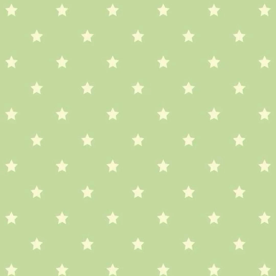 후지나가 사쿠야