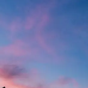 Profile image of 涼架