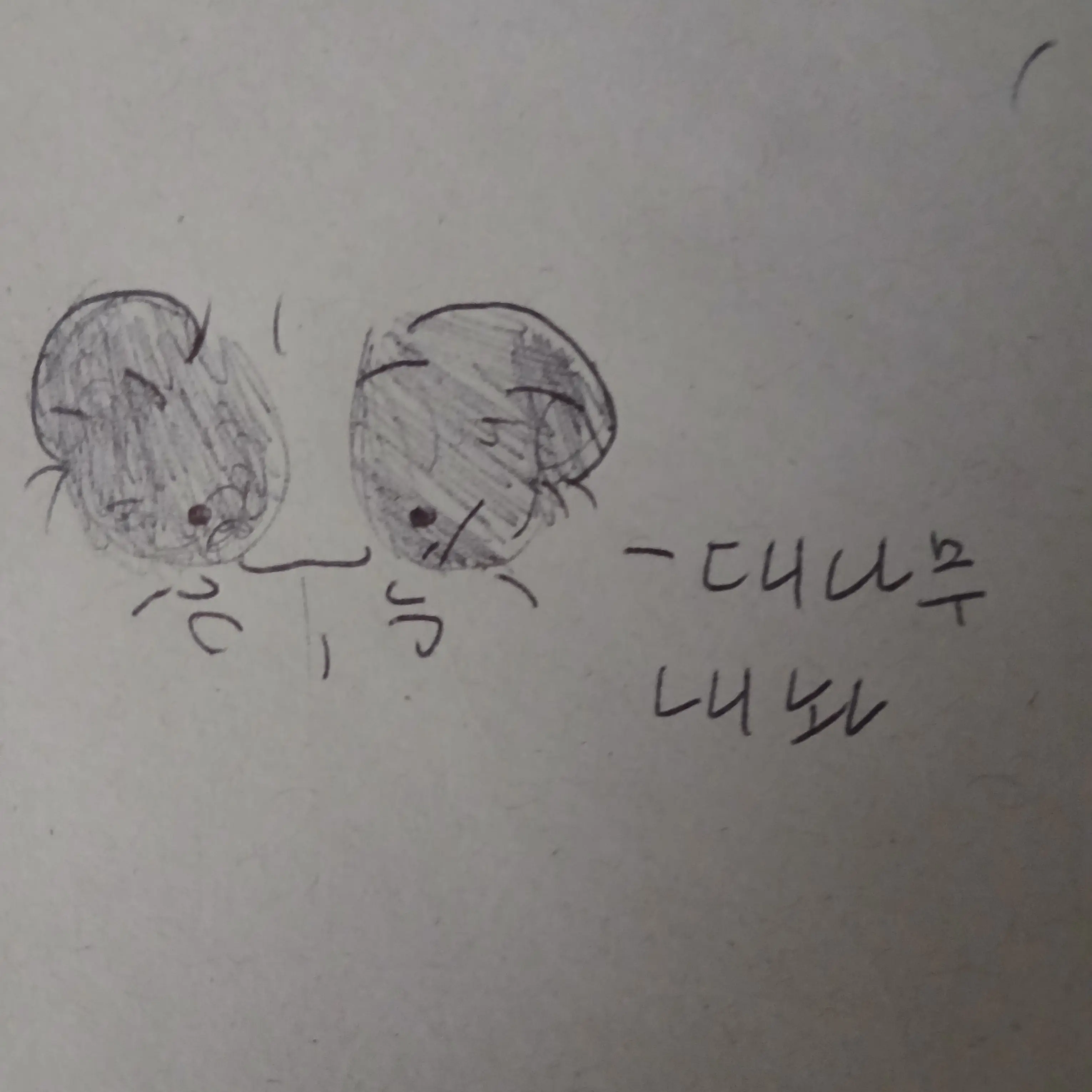 PutridTrill1285의 당신의 귀여운 동물 친구들