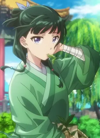 SpikyTetra5142의 Maomao