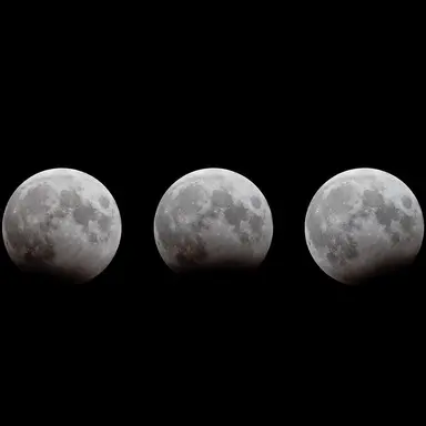 Profile image of 정형준