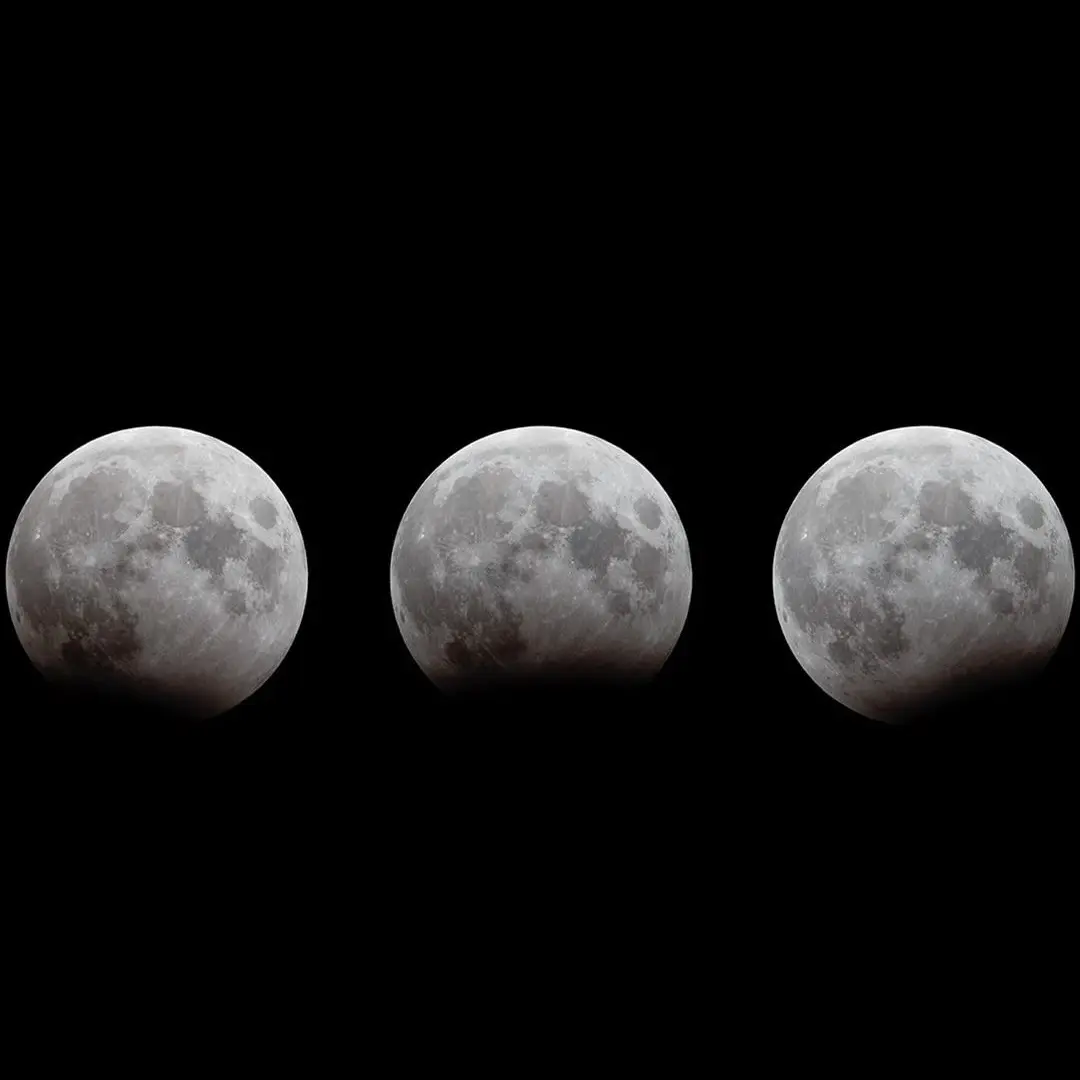 MellowFlea2226의 ㆍ