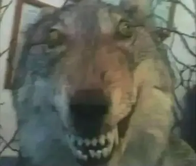 Profile image of 늑데