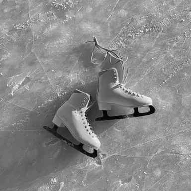 Profile image of 임세빈