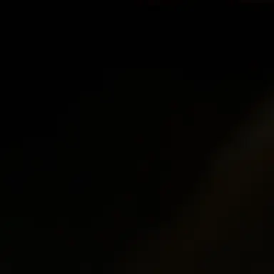 Profile image of 모양몬