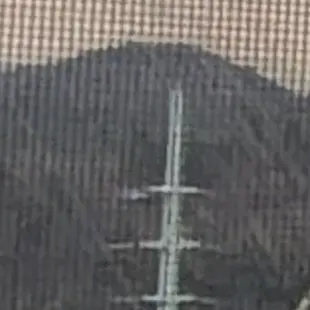 Profile image of ZTS 군인들