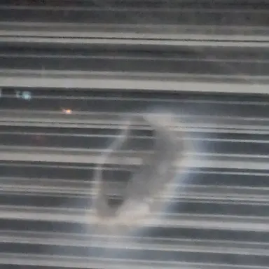 Profile image of ㄱㅇㅎ