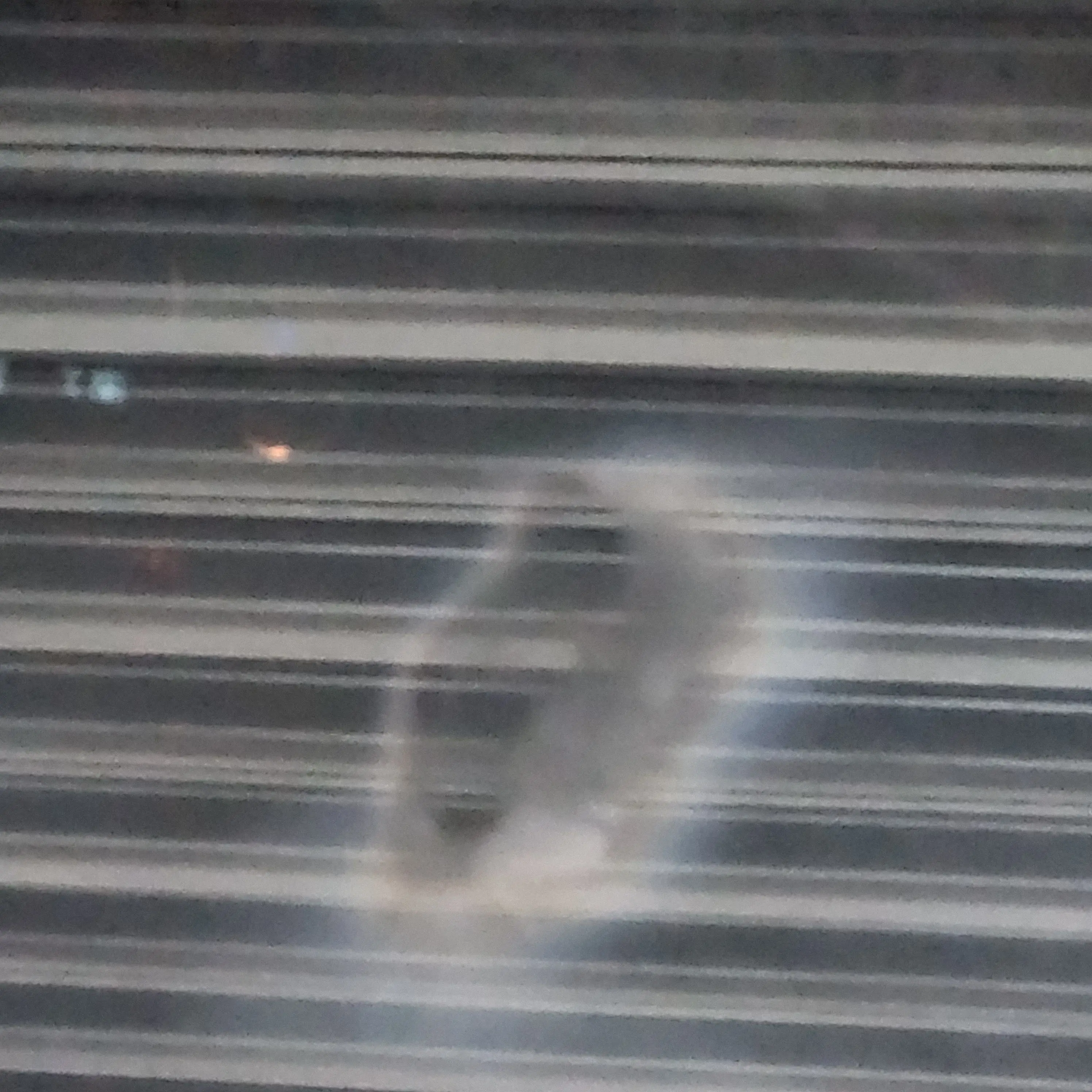 FruityTakin5230의 ㄱㅇㅎ