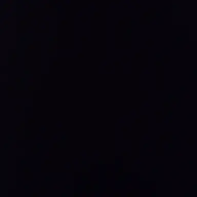 Profile image of 김도아