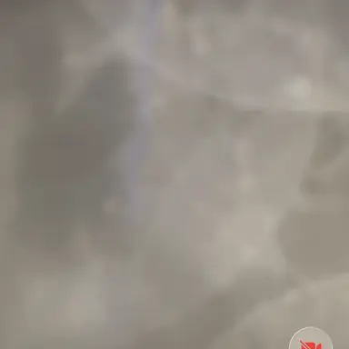 Profile image of Levi