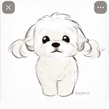 Profile image of 리버