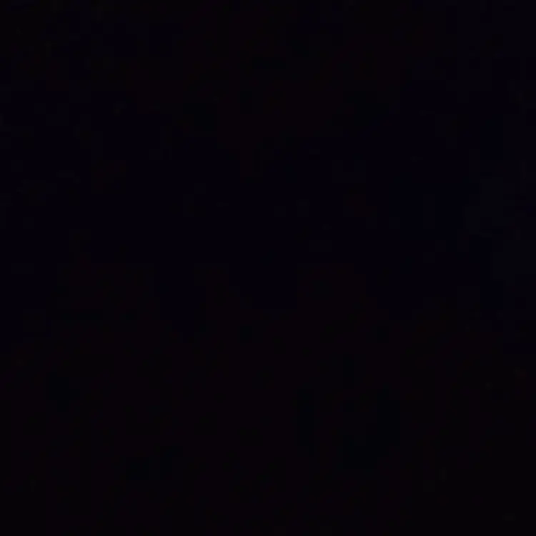 WildVideo8573의 13명의 남사친들