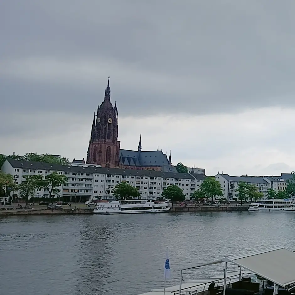 BareFeast1331의 동생