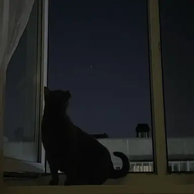 Profile image of Riku