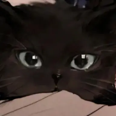 Profile image of イム・ユモン