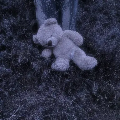 Profile image of 백도윤