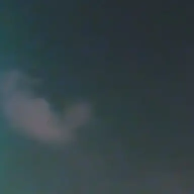 Profile image of 夢 叶 。