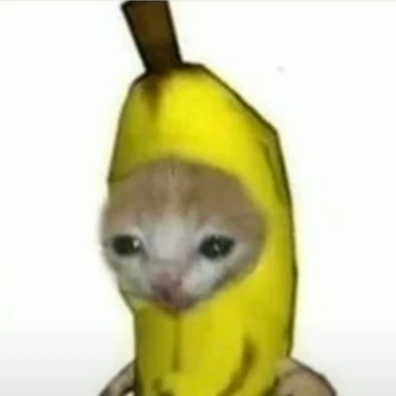 바나나캣