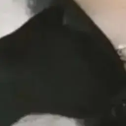 Profile image of 若井 滉斗