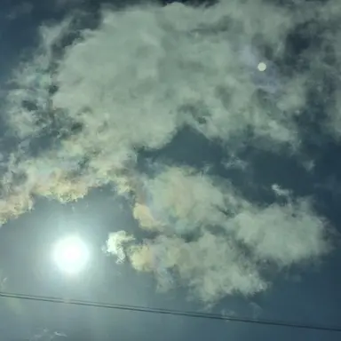 Profile image of 인기가 너무많은 너