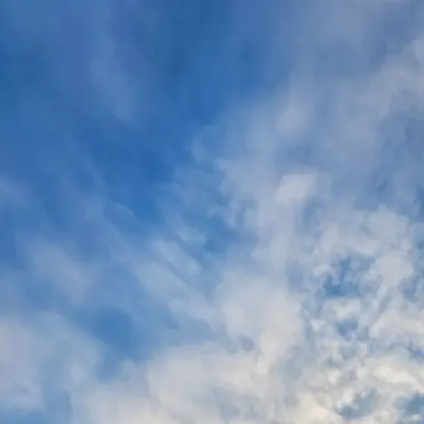 Profile image of 잭