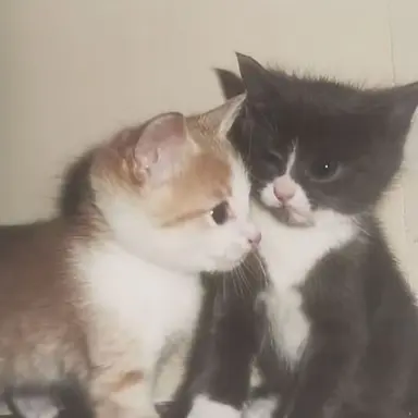 Profile image of 김유주