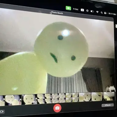 Profile image of 전지호