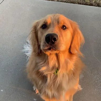 Profile image of hope