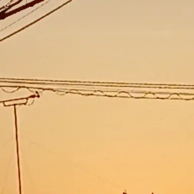Profile image of アオト