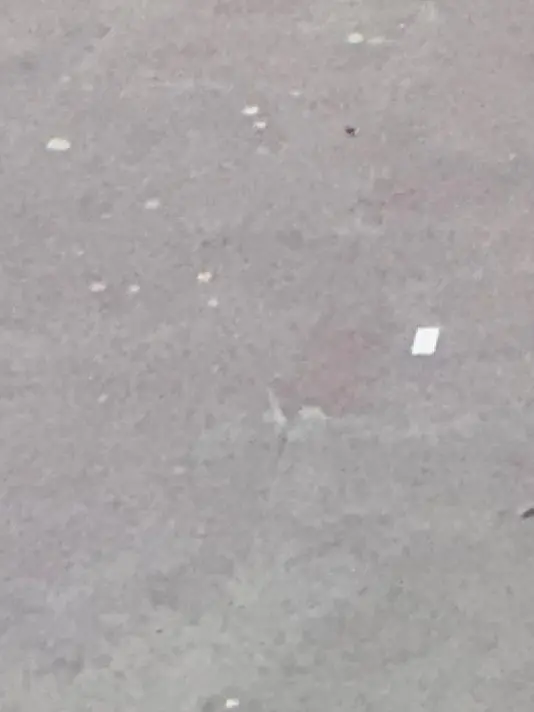 LOVE_BP의 보플고 중남 !!