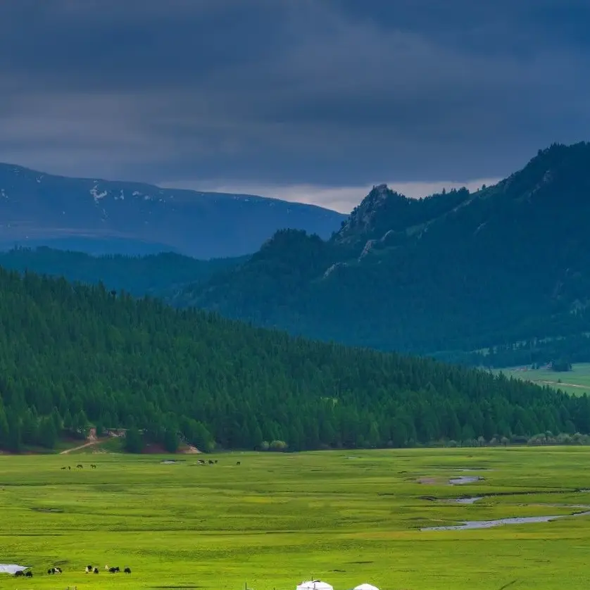 EarlyDust0686의 바르