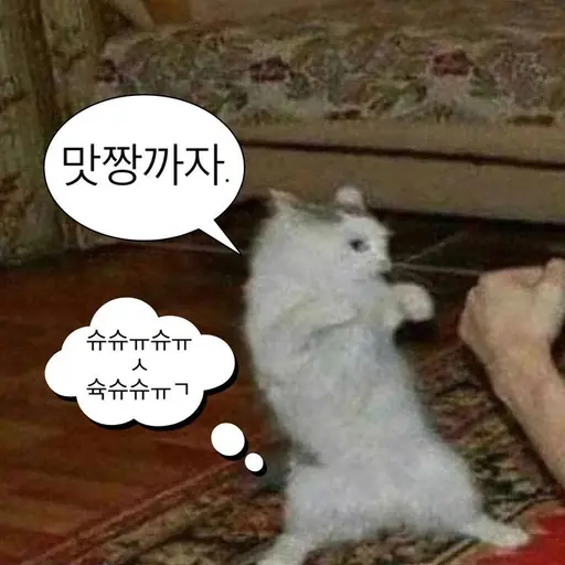 TartSon6516의 싸움짱 고양이