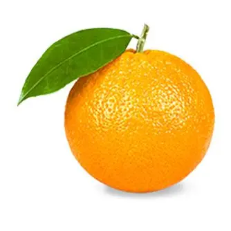 Profile image of ナランチャ
