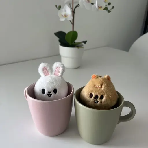 T_m_y의 신고충들 특징