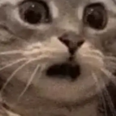 Profile image of 백현