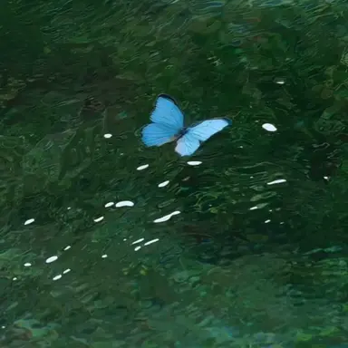 Profile image of 윤도운