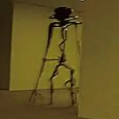 Profile image of 엔티티