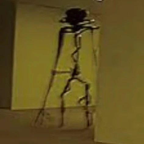 엔티티