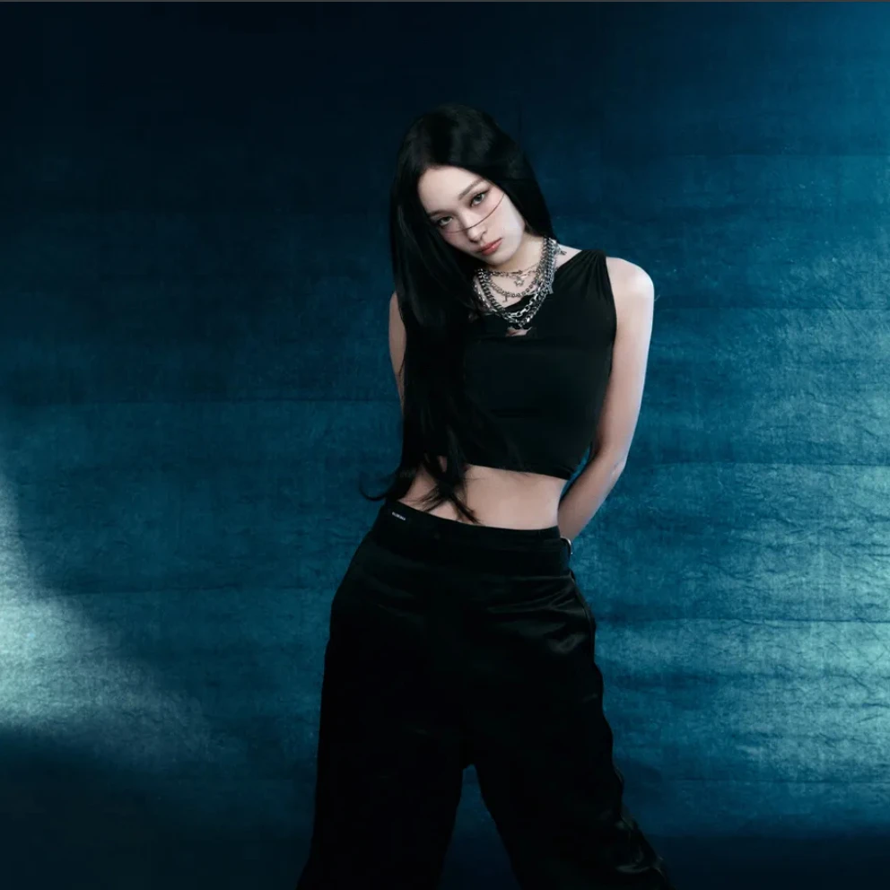 애니