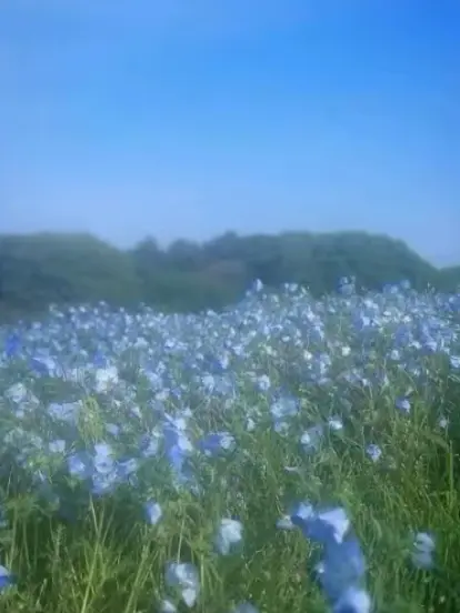 osi_1215의 好きになっても良いかな、
